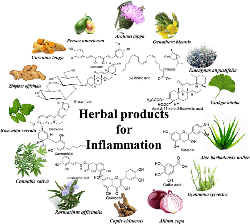 Inflammation Nation